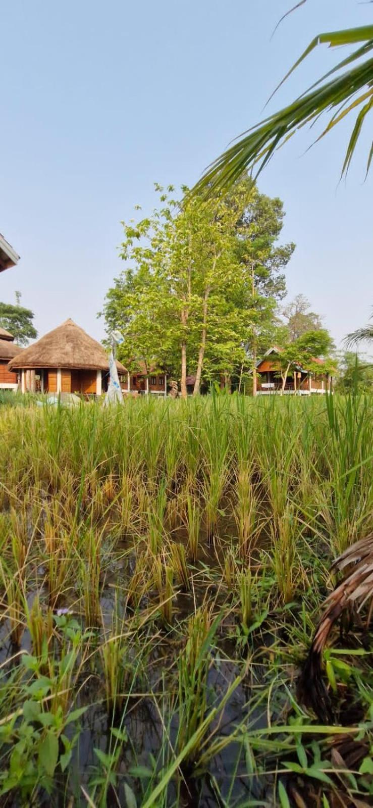 Bolaven Garden Bungalow And Tent - Tad Lo Ban Kiangtat エクステリア 写真